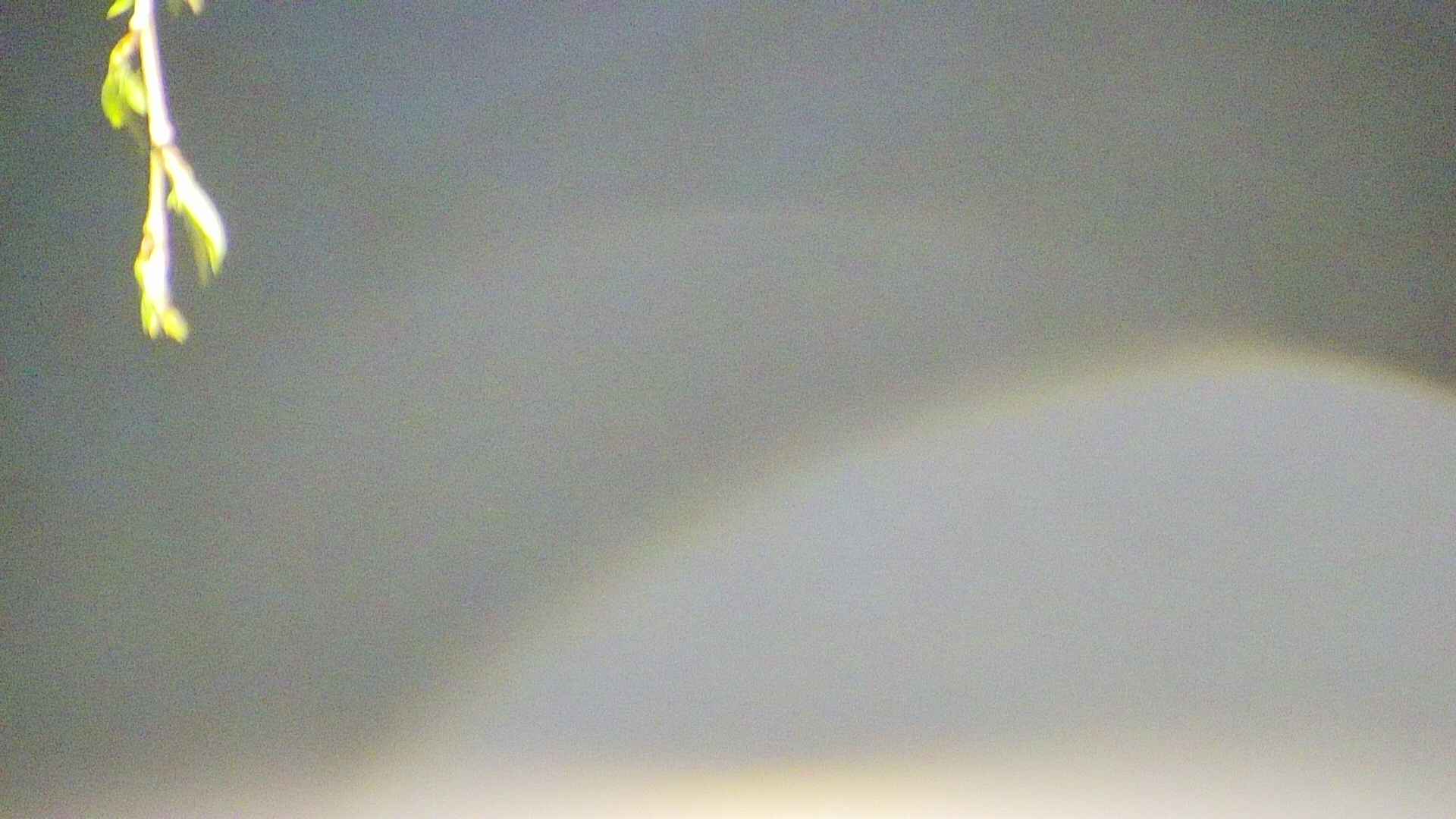 area5-20250425041052.jpg