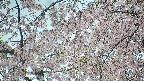 area5-20250425134053.jpg