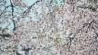 area5-20250425142052.jpg