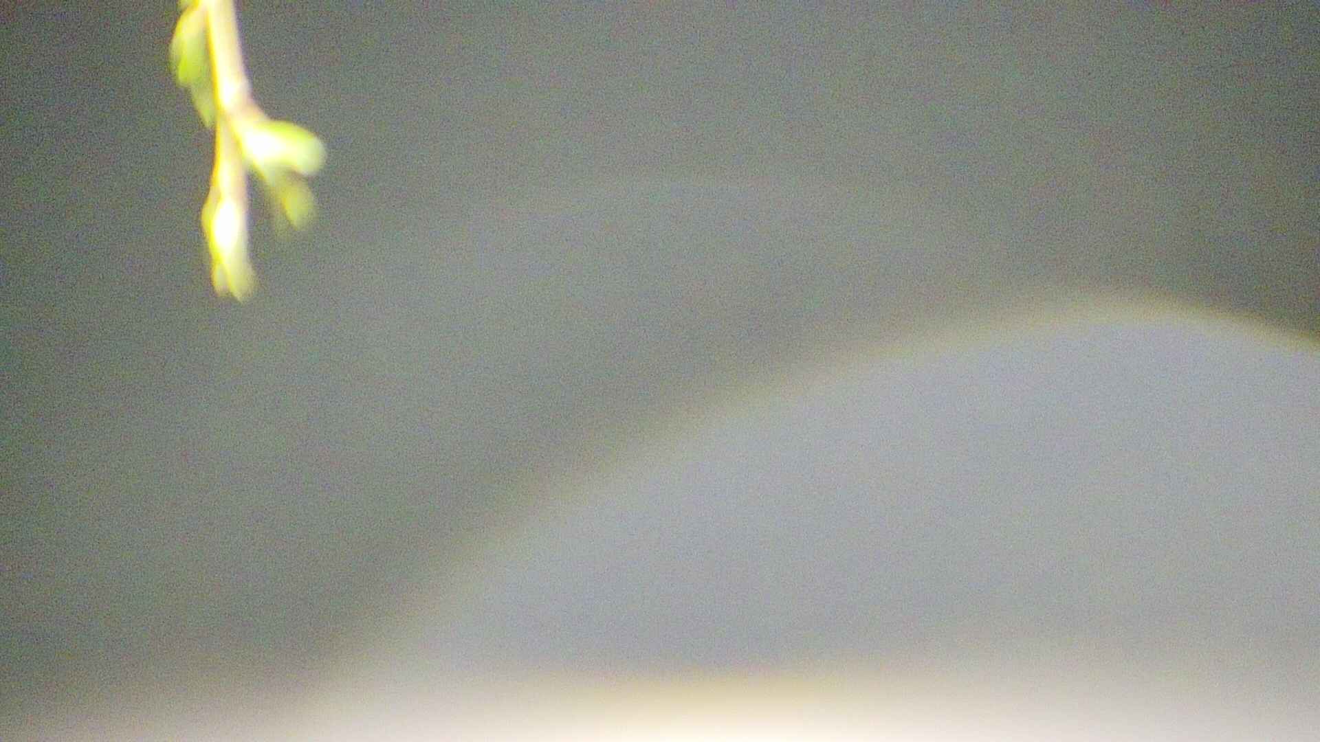 area5-20250426021053.jpg
