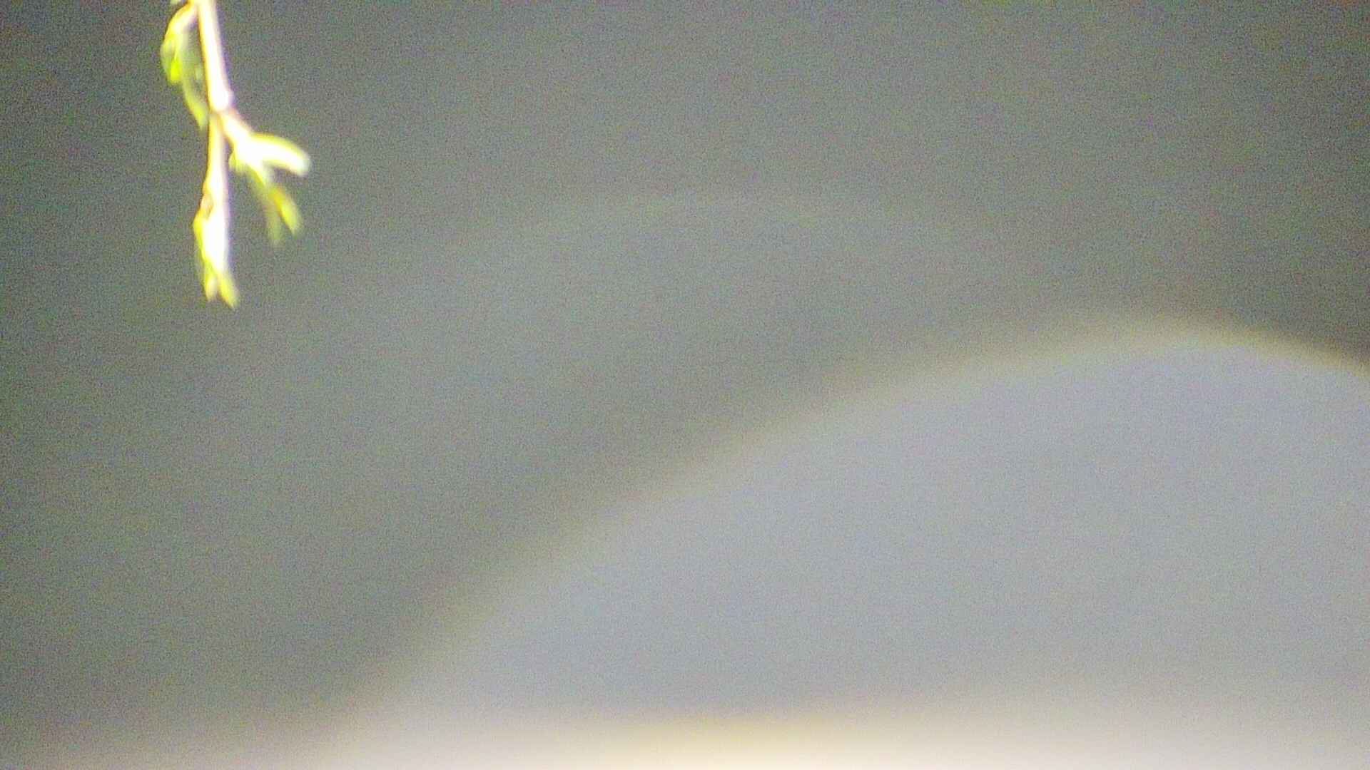 area5-20250426022053.jpg