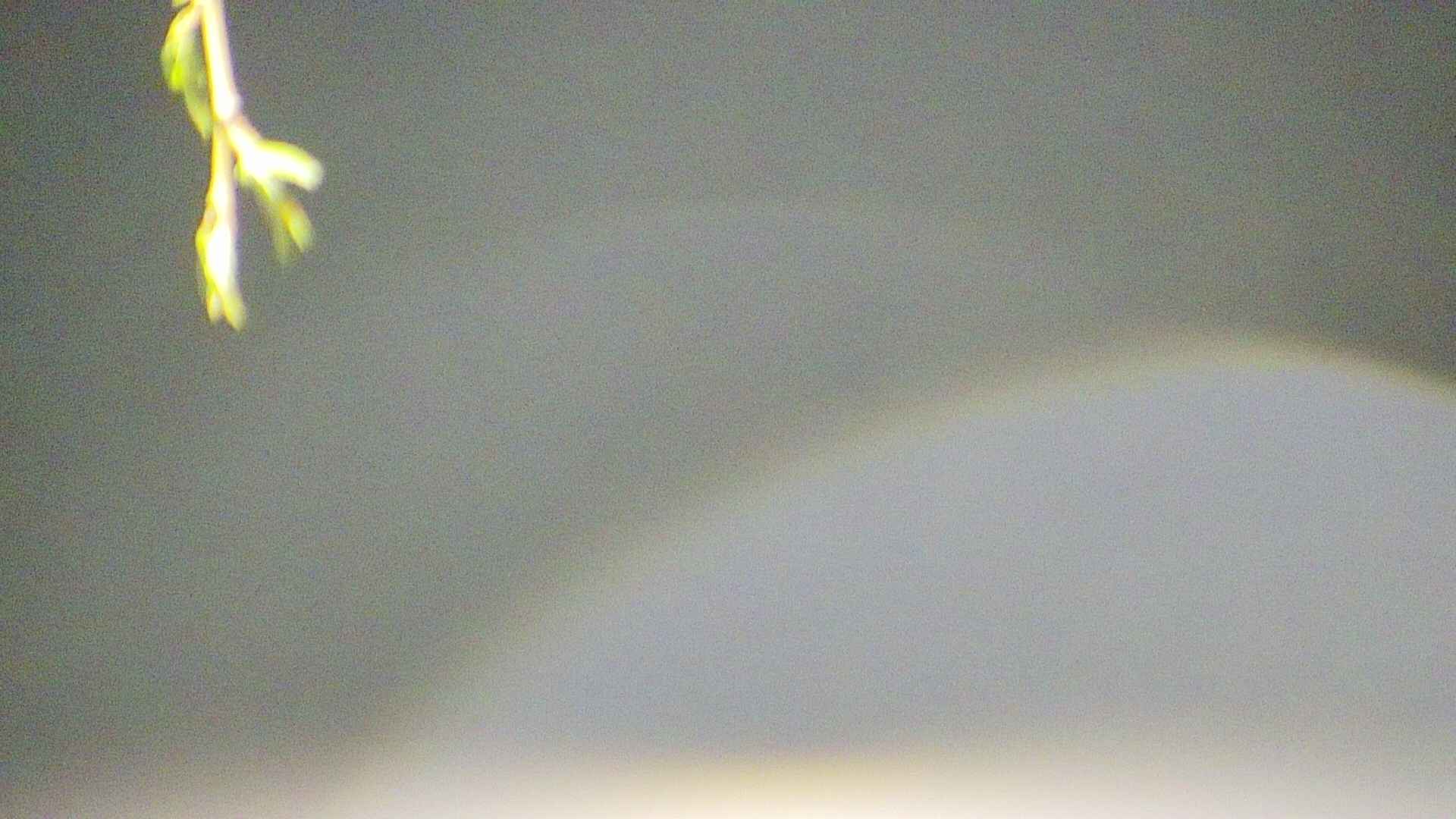 area5-20250426024054.jpg