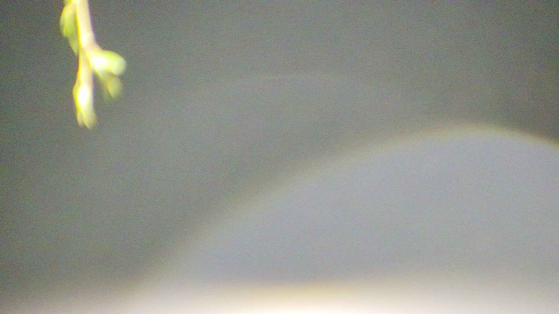 area5-20250426025052.jpg