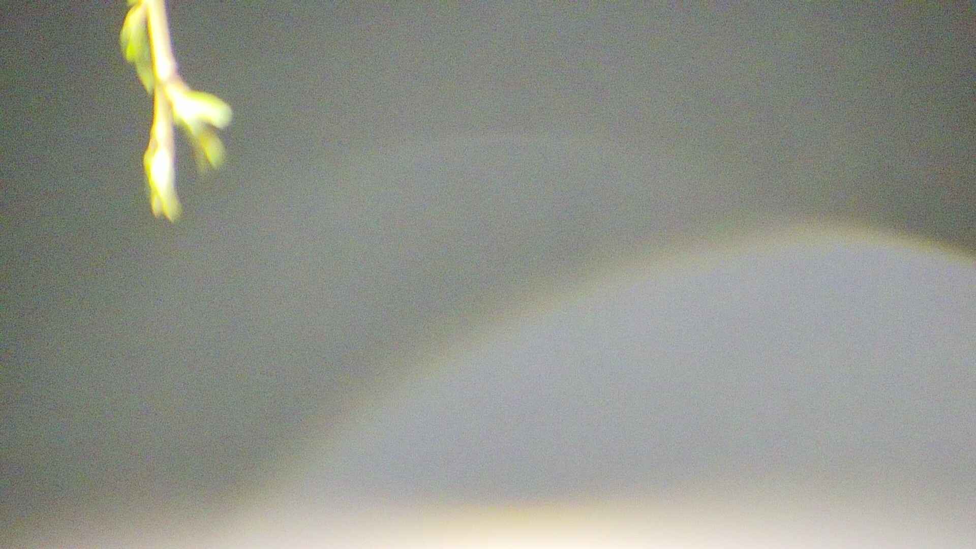area5-20250426032053.jpg