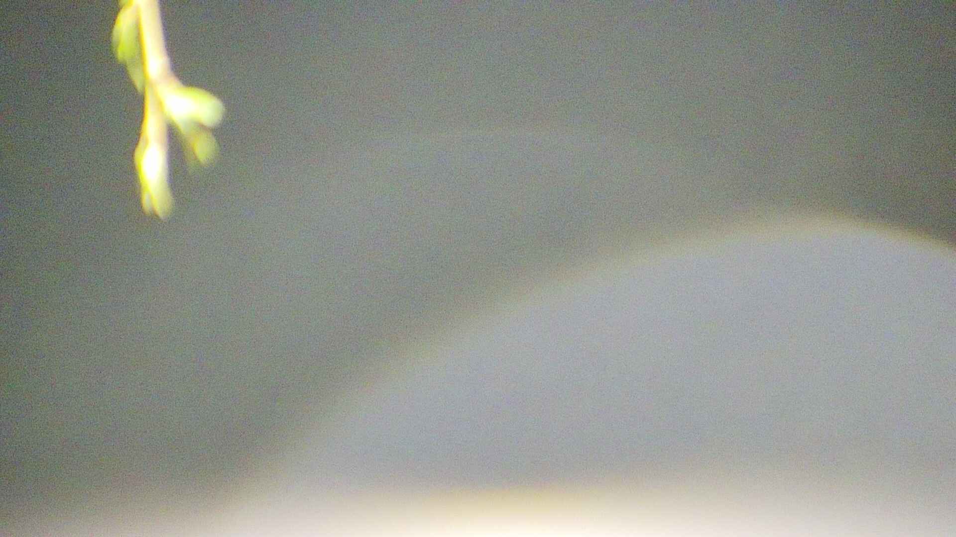 area5-20250426033054.jpg