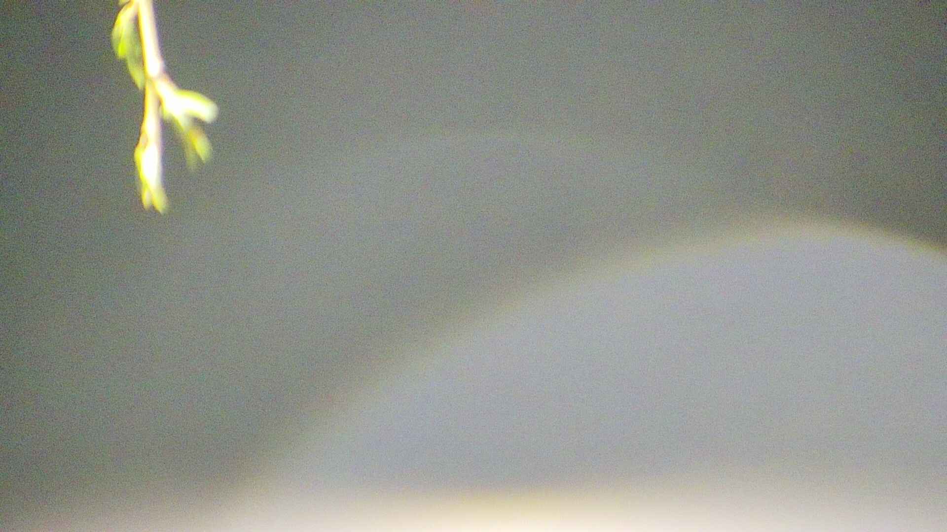 area5-20250426034053.jpg