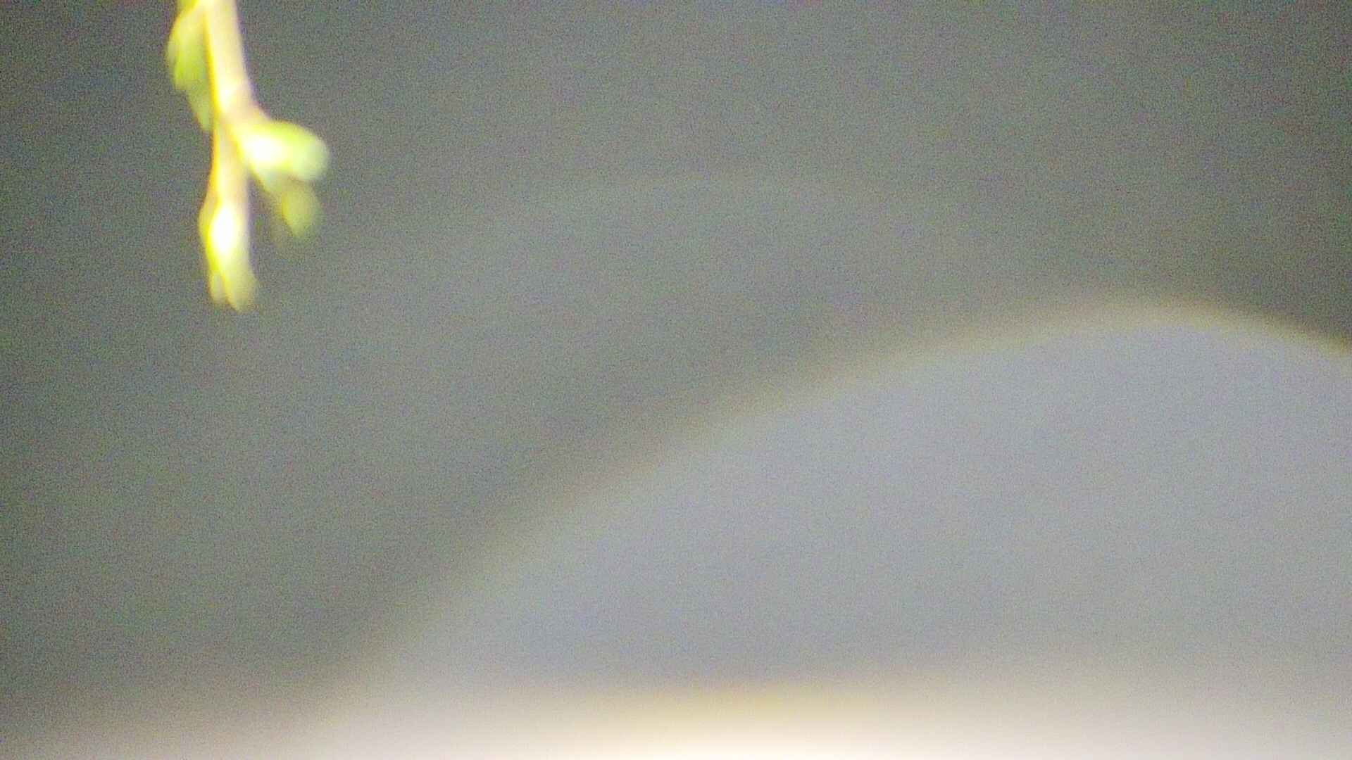 area5-20250426035054.jpg