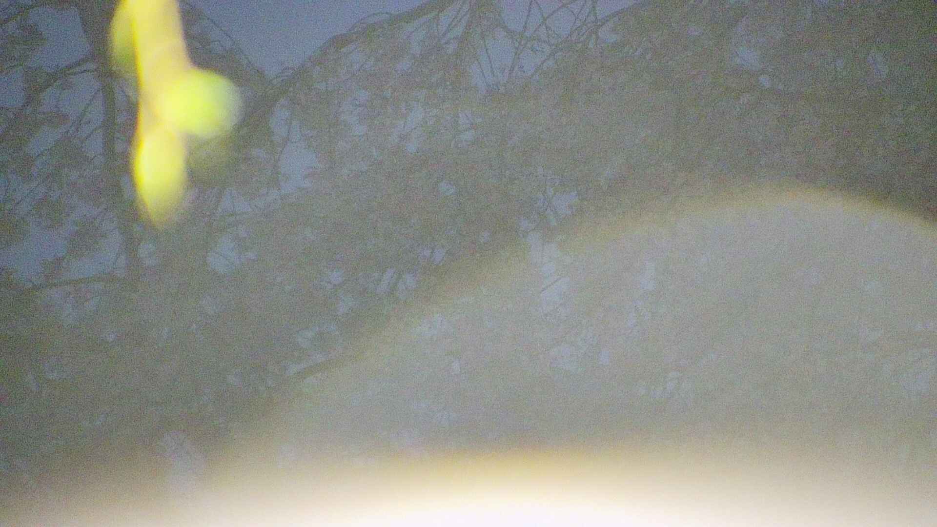 area5-20250426041053.jpg