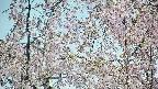 area5-20250426101054.jpg