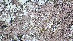 area5-20250426102053.jpg