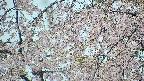 area5-20250426112053.jpg