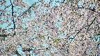 area5-20250426120053.jpg