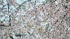 area5-20250426131053.jpg
