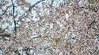 area5-20250426144053.jpg