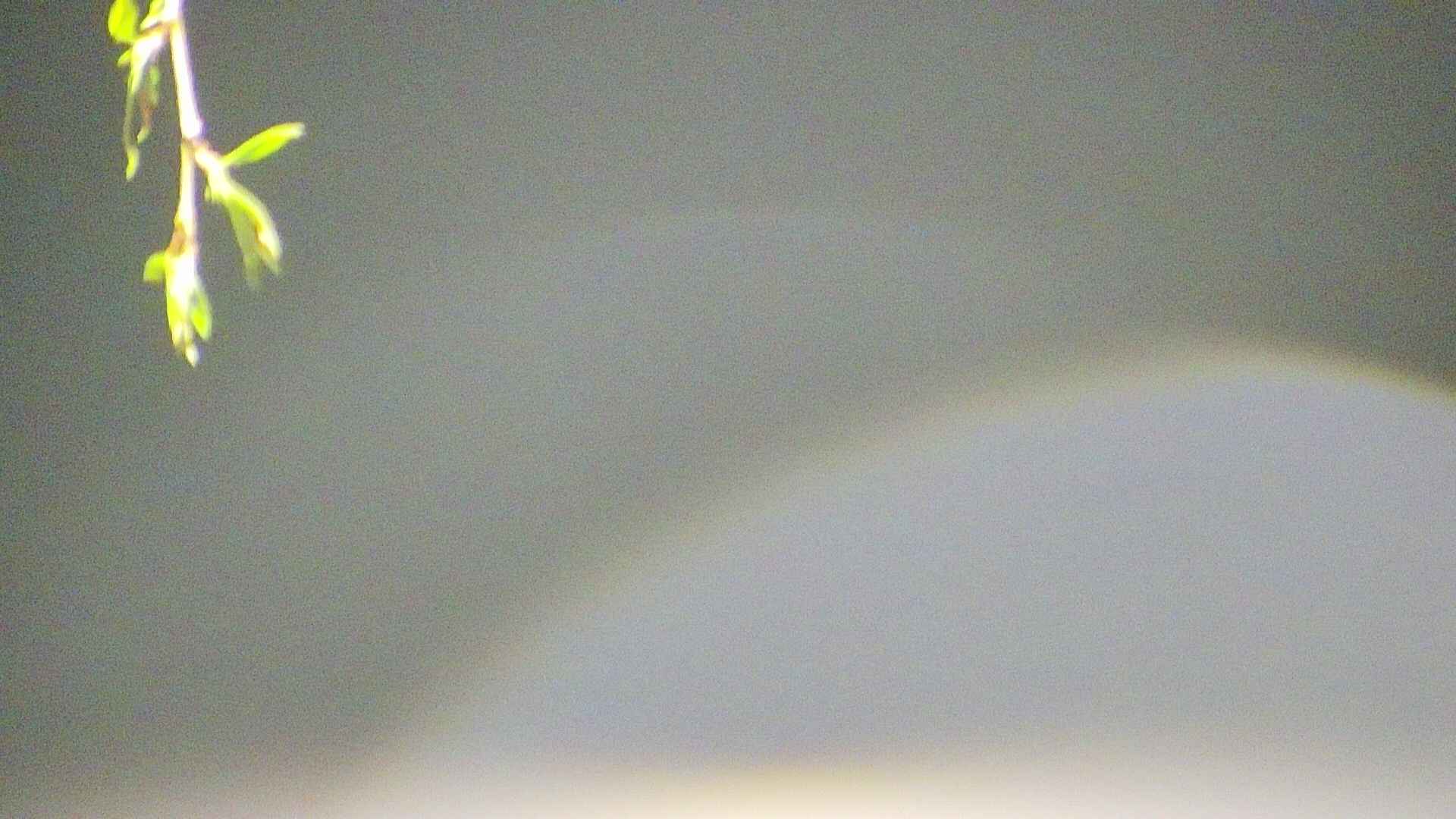 area5-20250427021054.jpg