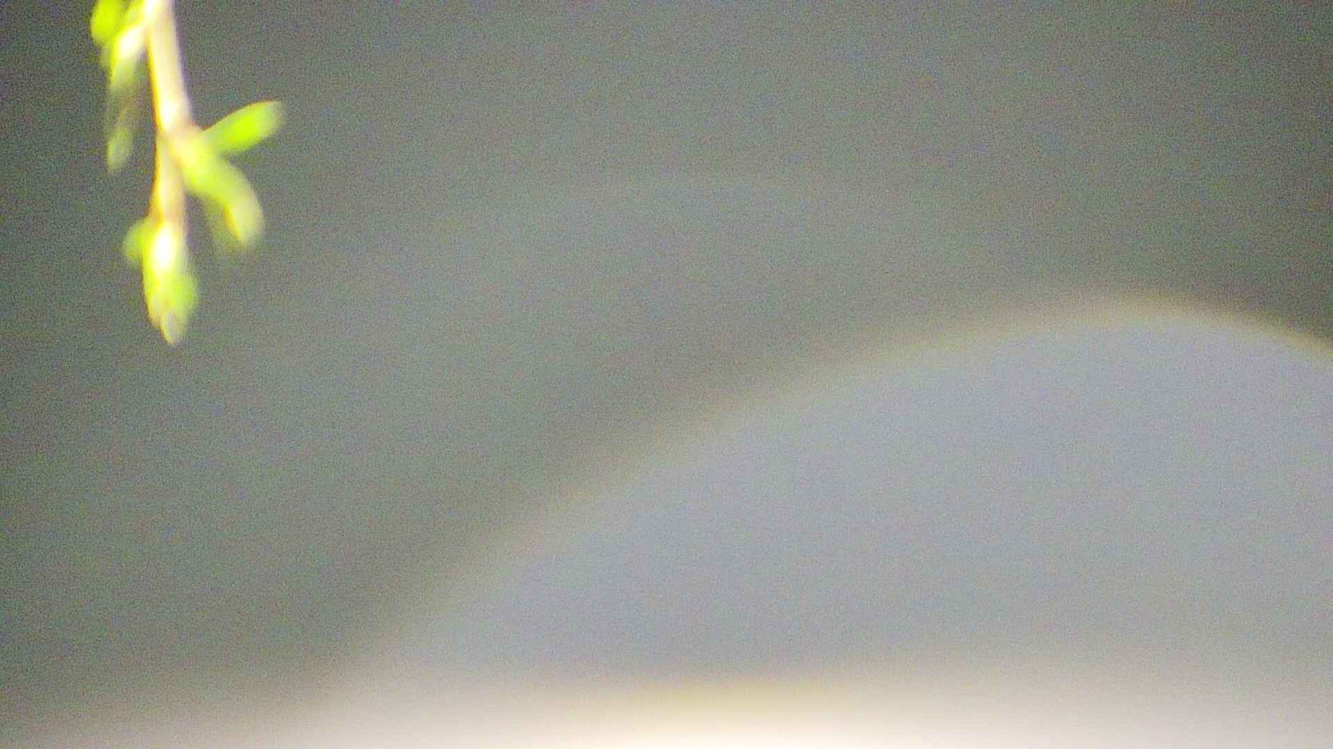 area5-20250427022053.jpg