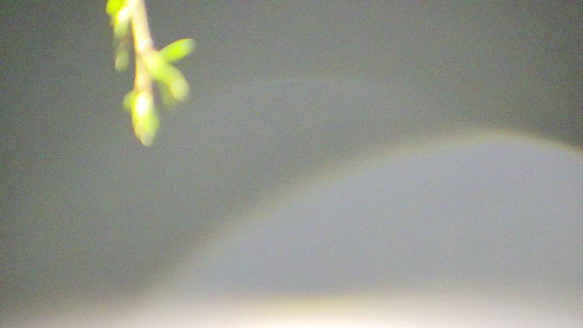 area5-20250427024054.jpg