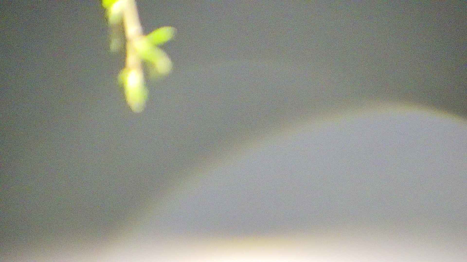 area5-20250427025051.jpg