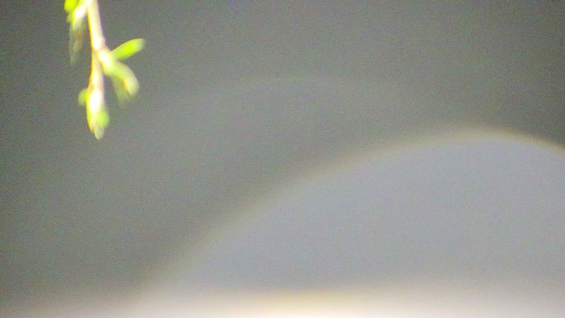 area5-20250427032054.jpg