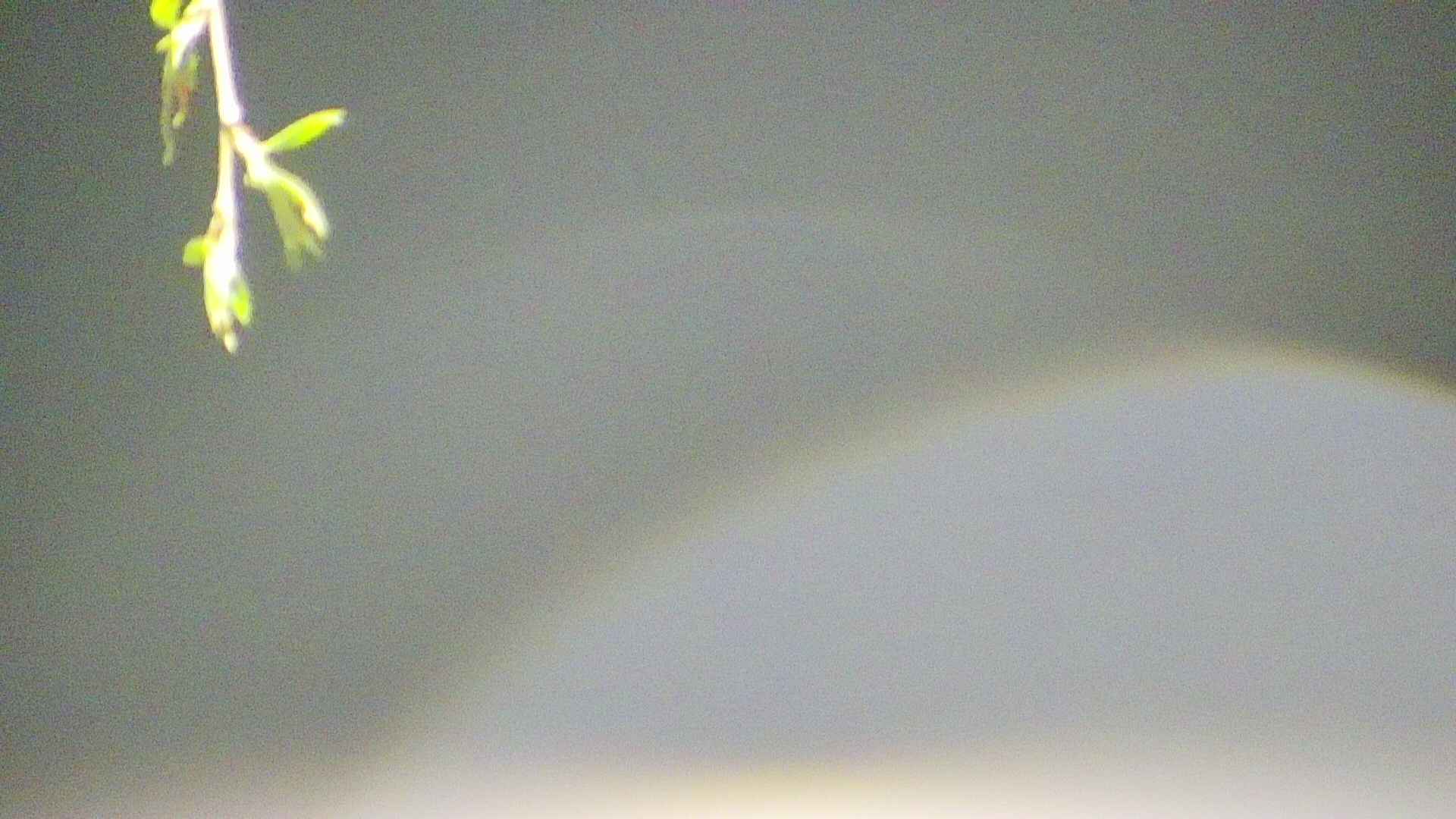 area5-20250427033054.jpg