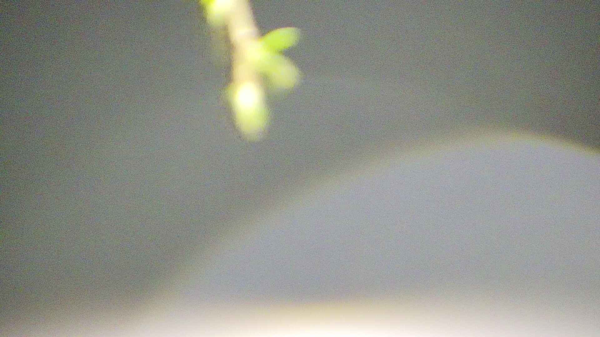 area5-20250427034053.jpg