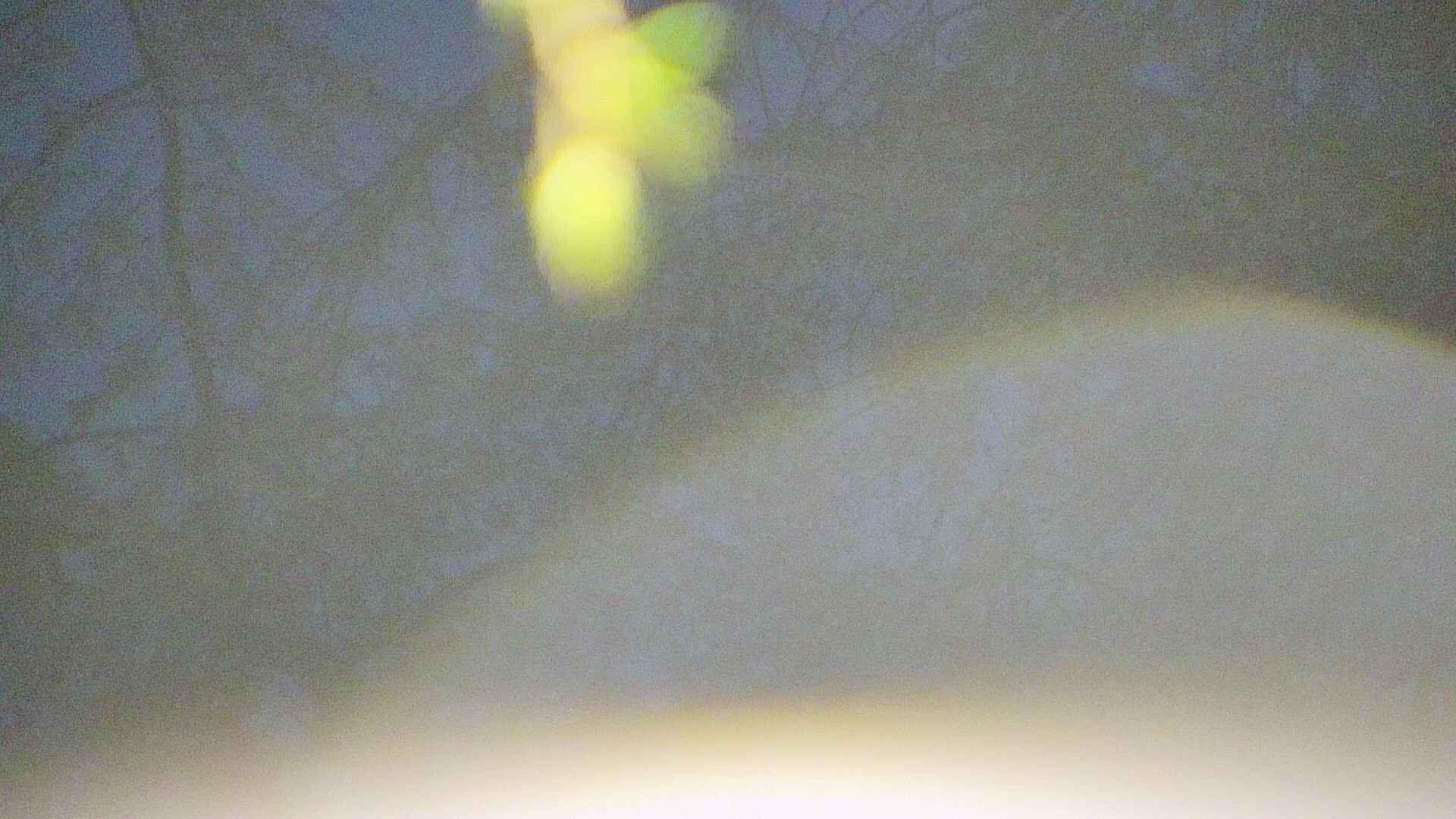 area5-20250427041052.jpg
