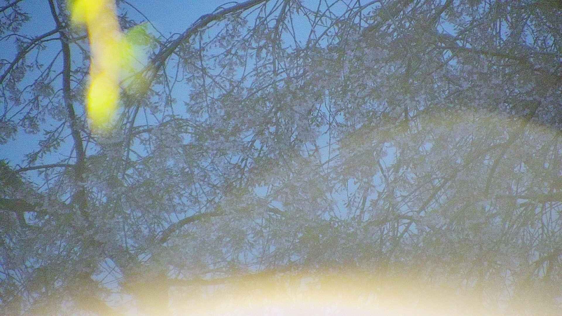 area5-20250427042053.jpg