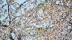 area5-20250427120054.jpg