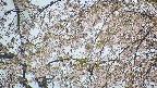 area5-20250427135053.jpg