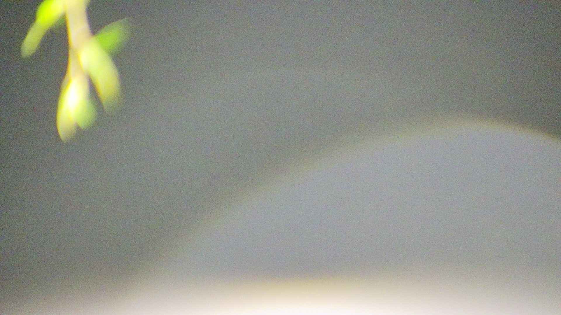 area5-20250428021053.jpg
