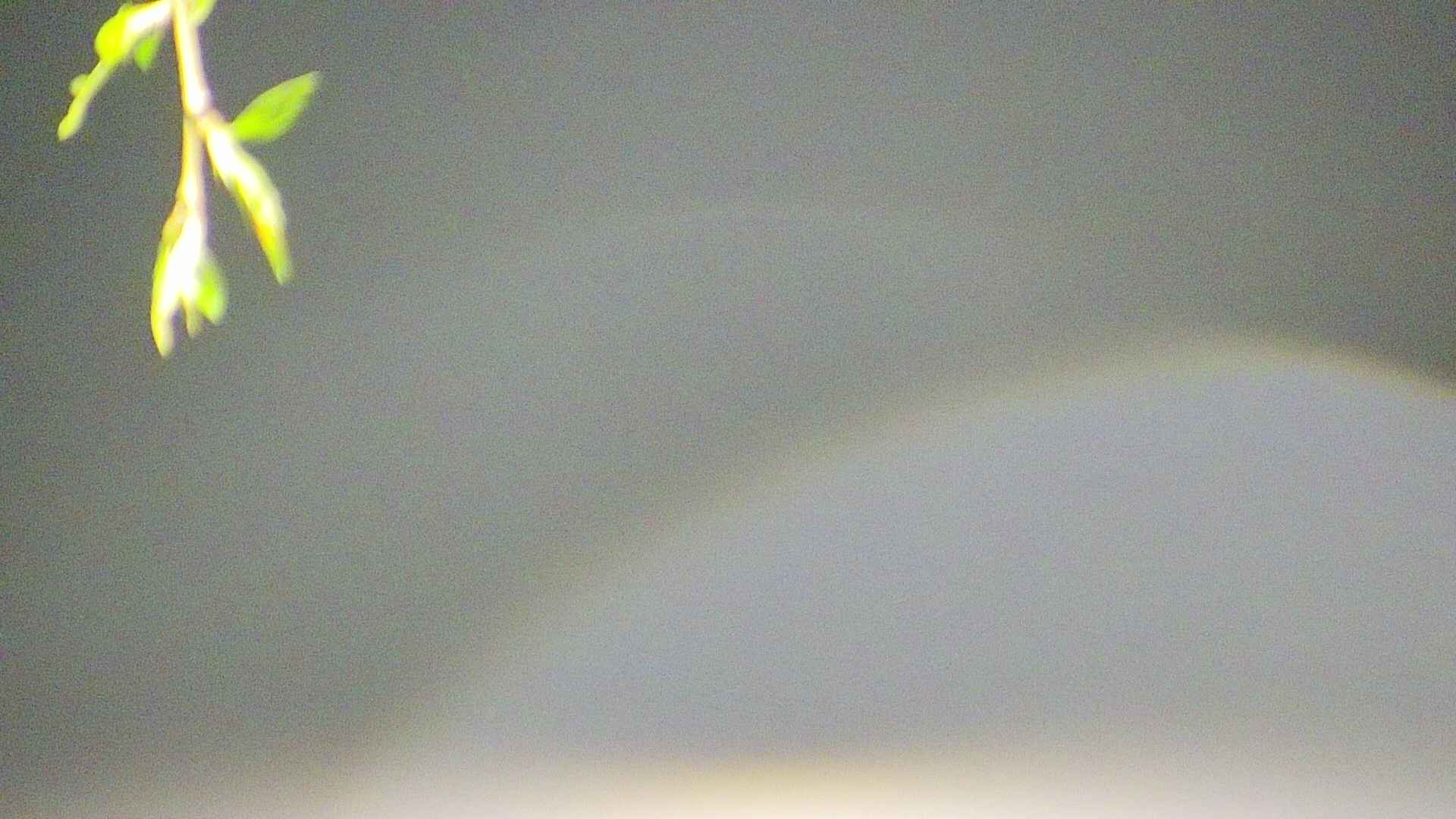 area5-20250428024053.jpg