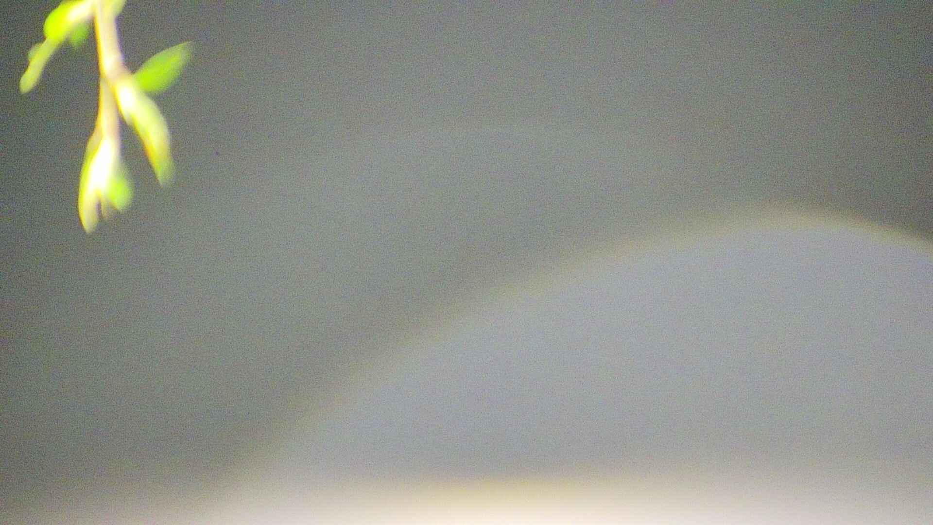 area5-20250428025053.jpg