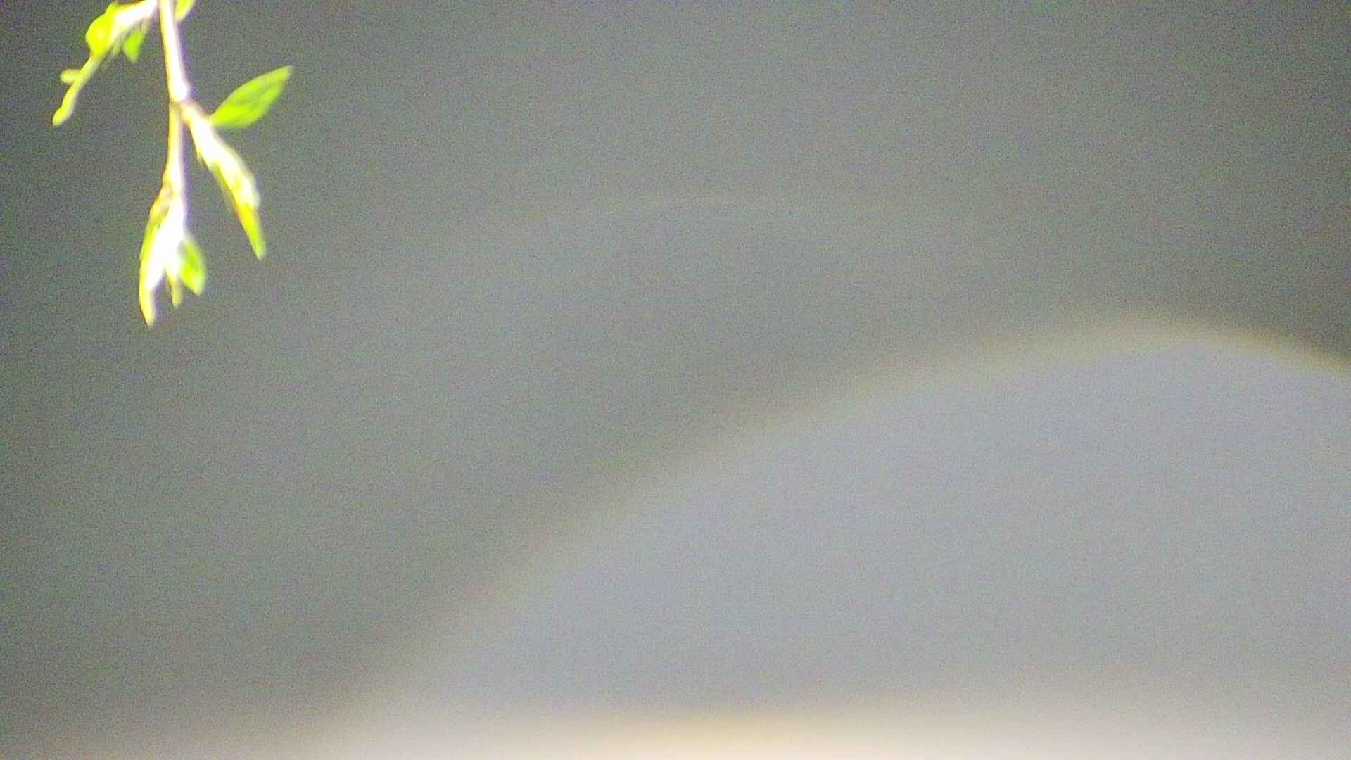 area5-20250428032052.jpg