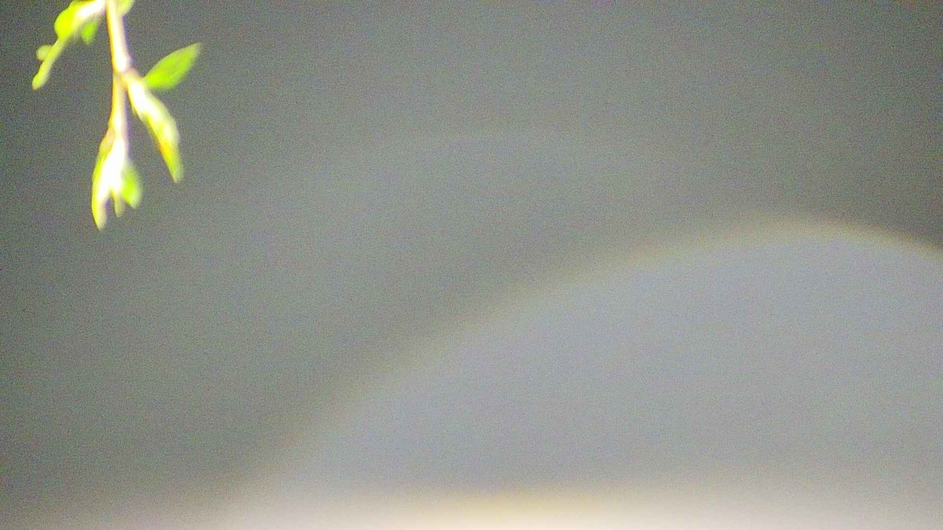 area5-20250428034053.jpg