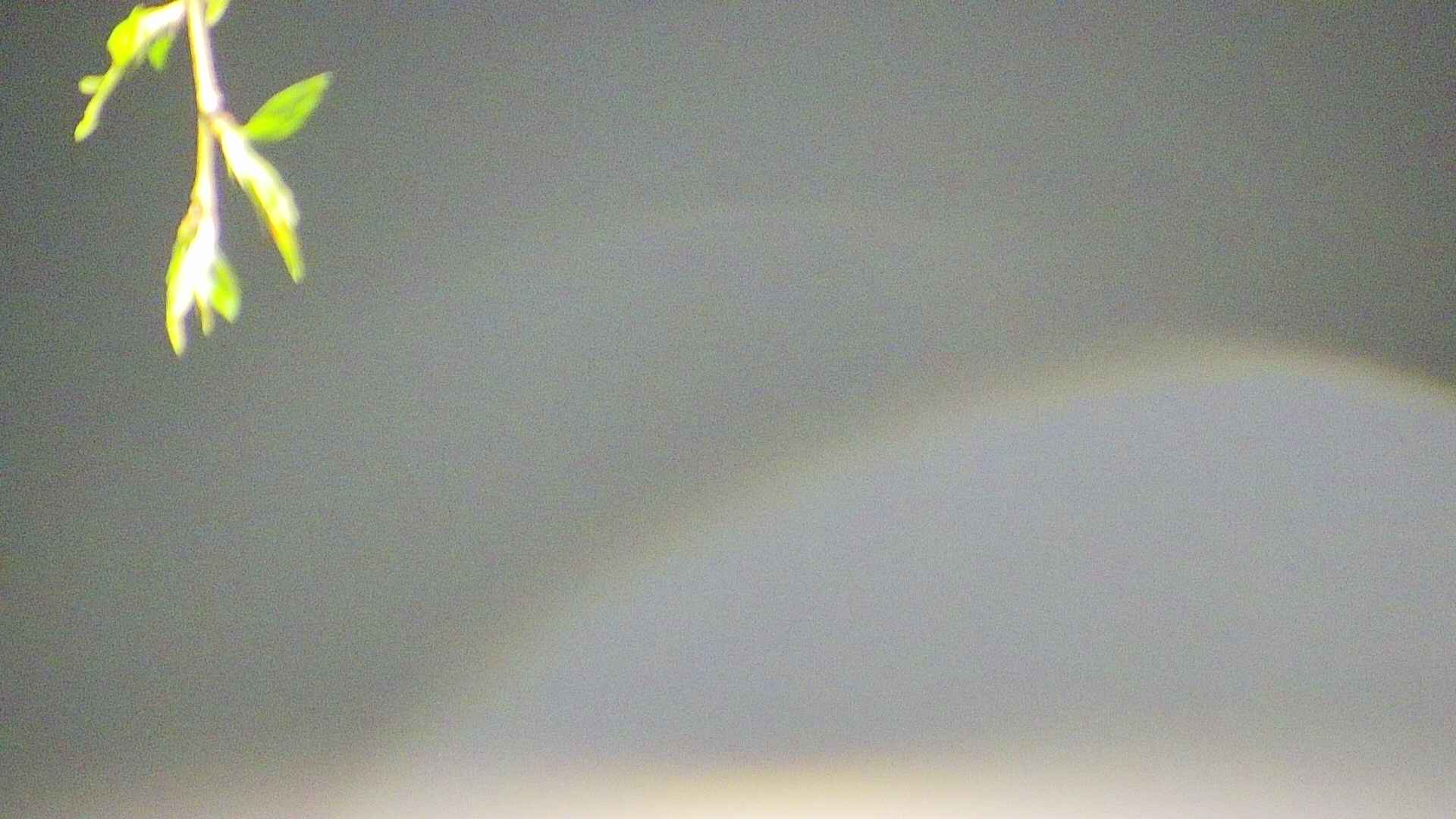 area5-20250428035053.jpg