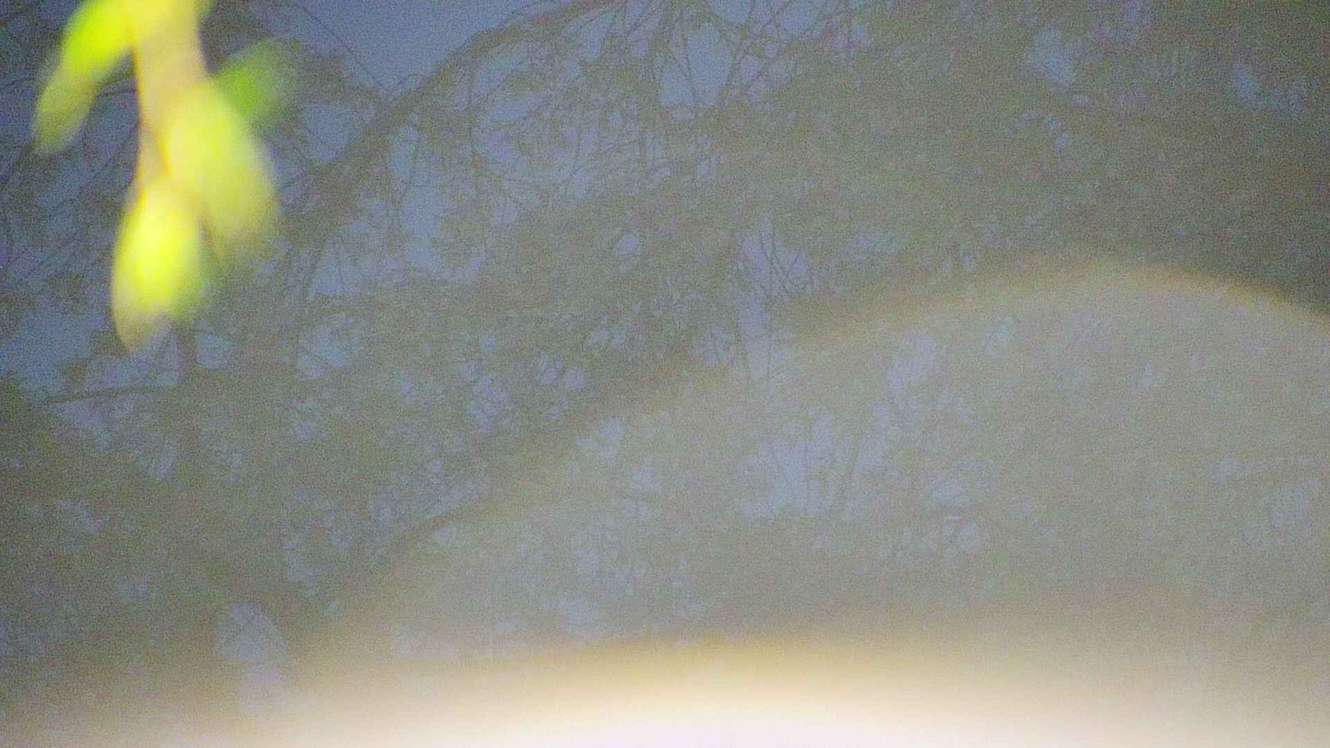 area5-20250428041053.jpg