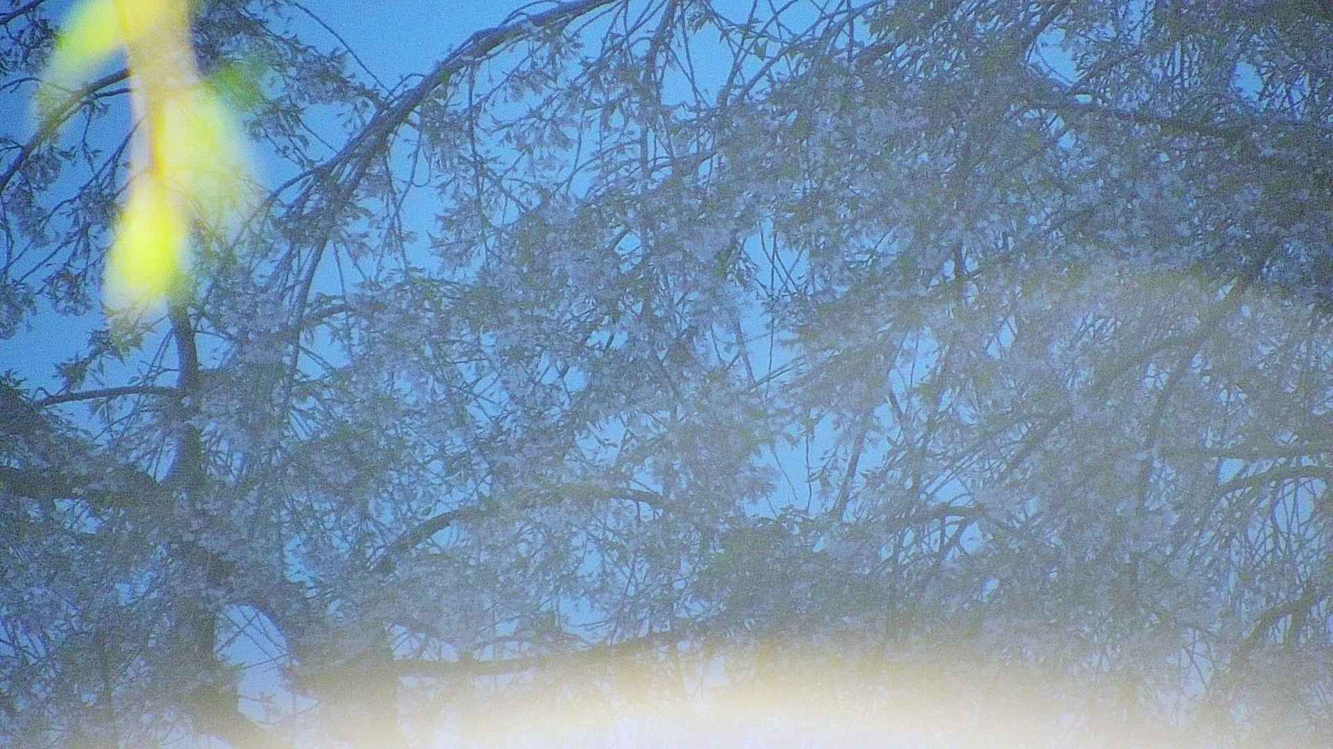 area5-20250428042054.jpg