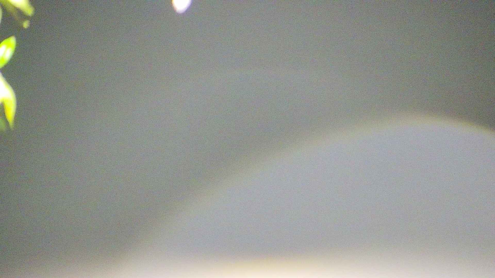 area5-20250429024051.jpg