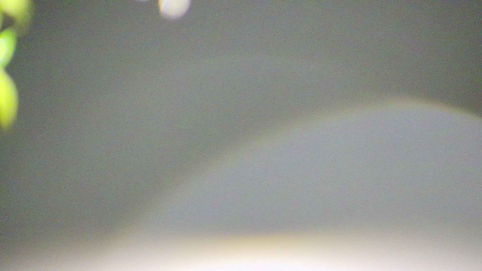 area5-20250429032053.jpg