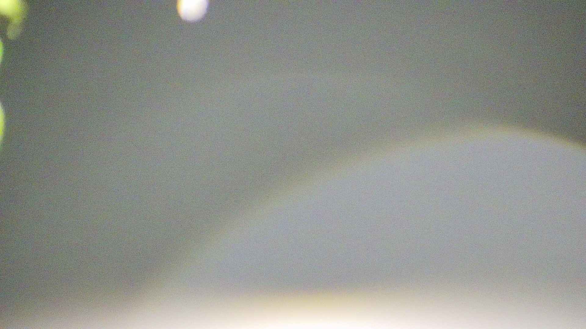 area5-20250429034051.jpg