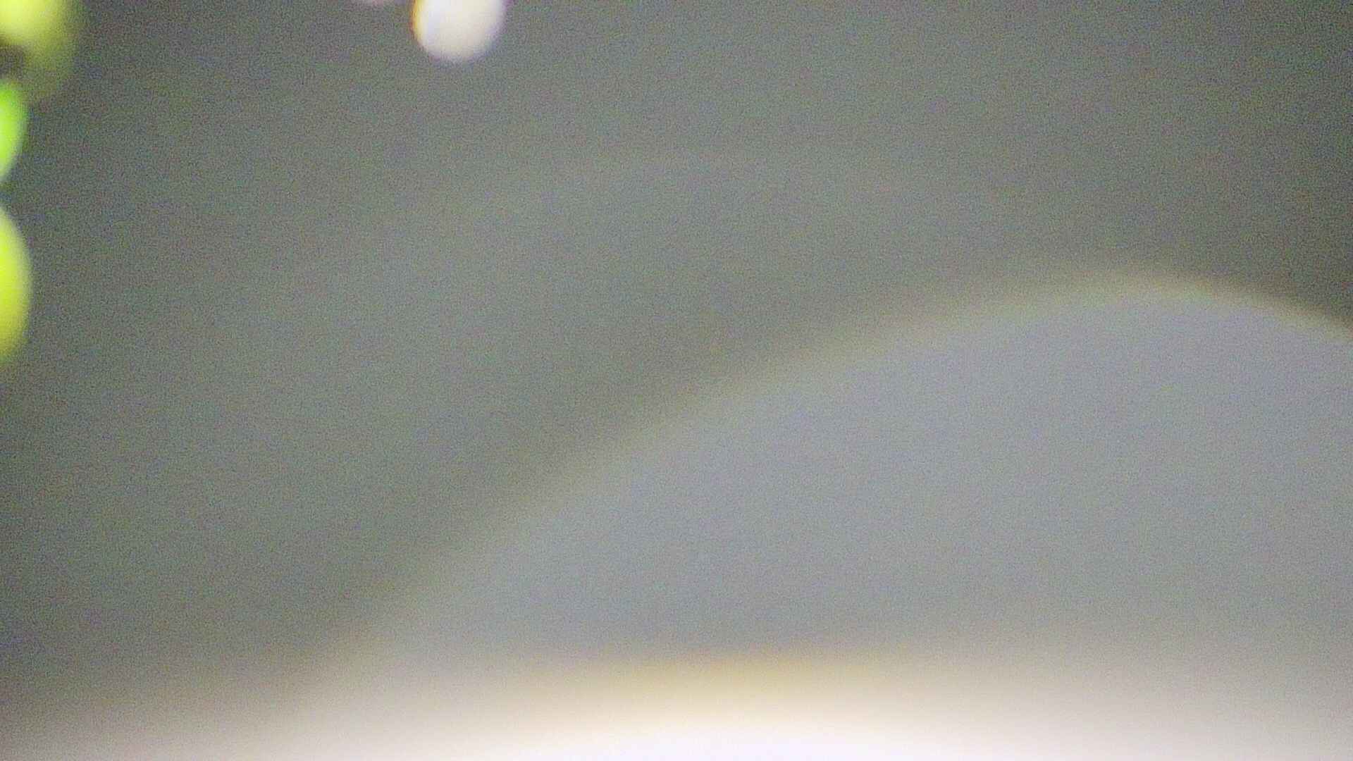 area5-20250429035053.jpg