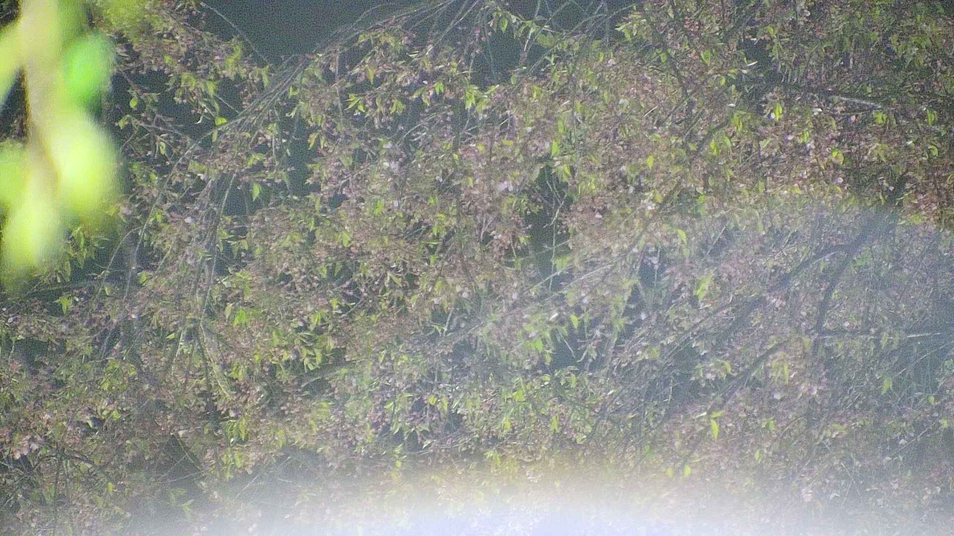 area5-20250429214053.jpg