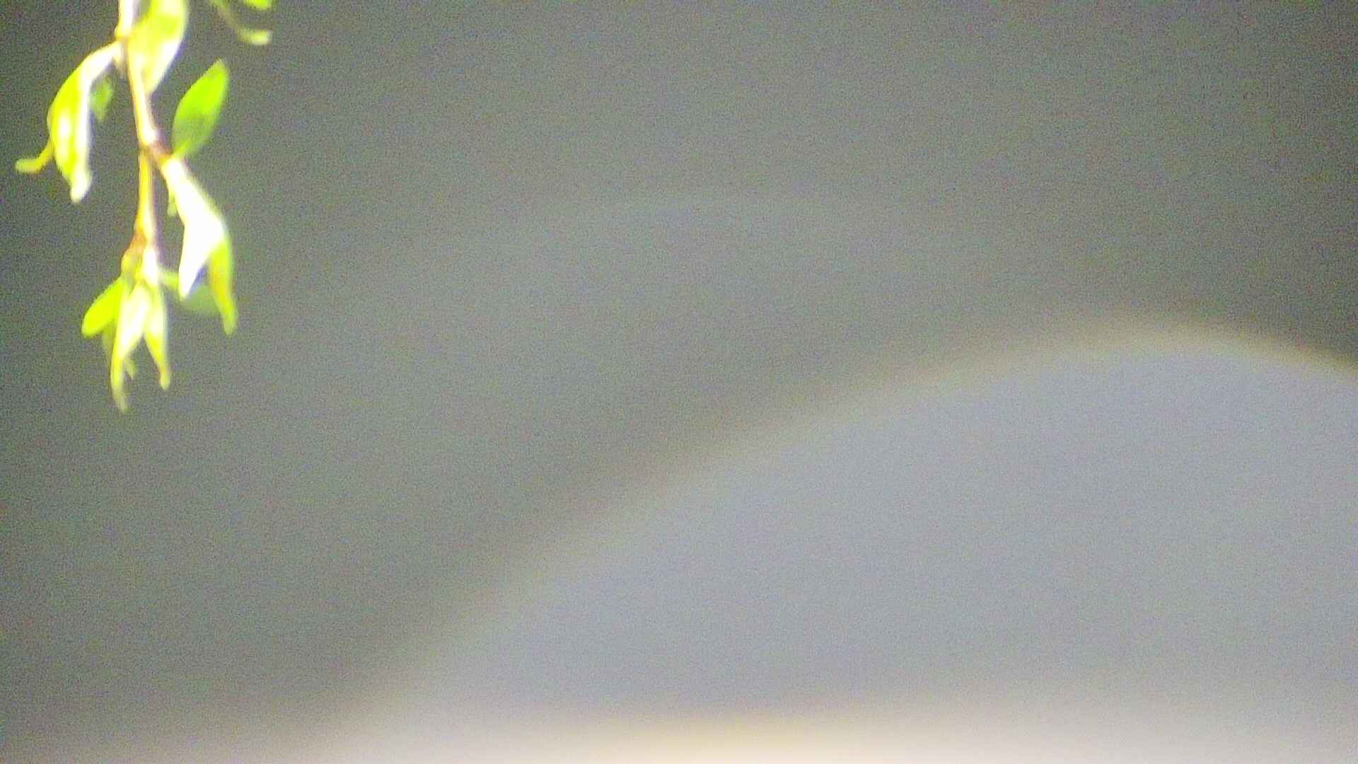 area5-20250430021054.jpg