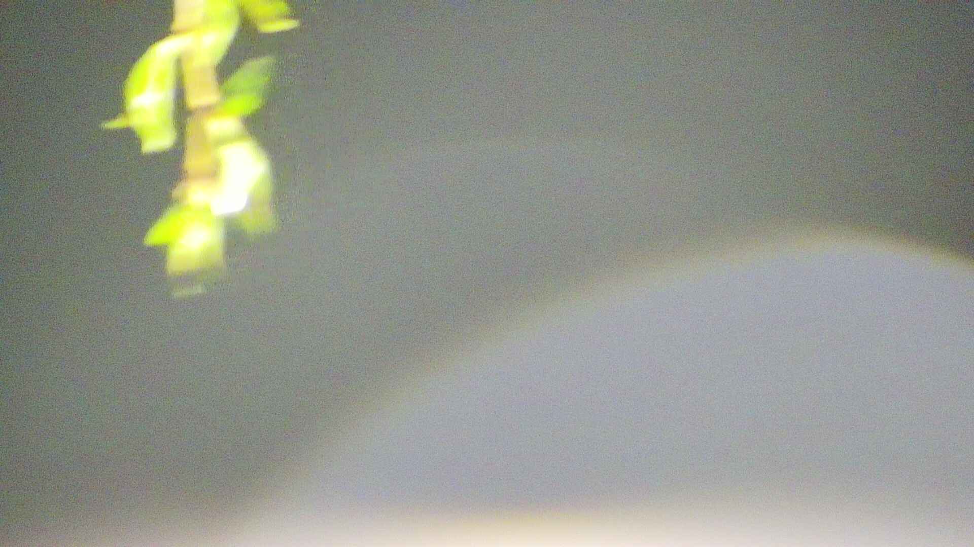 area5-20250430025053.jpg