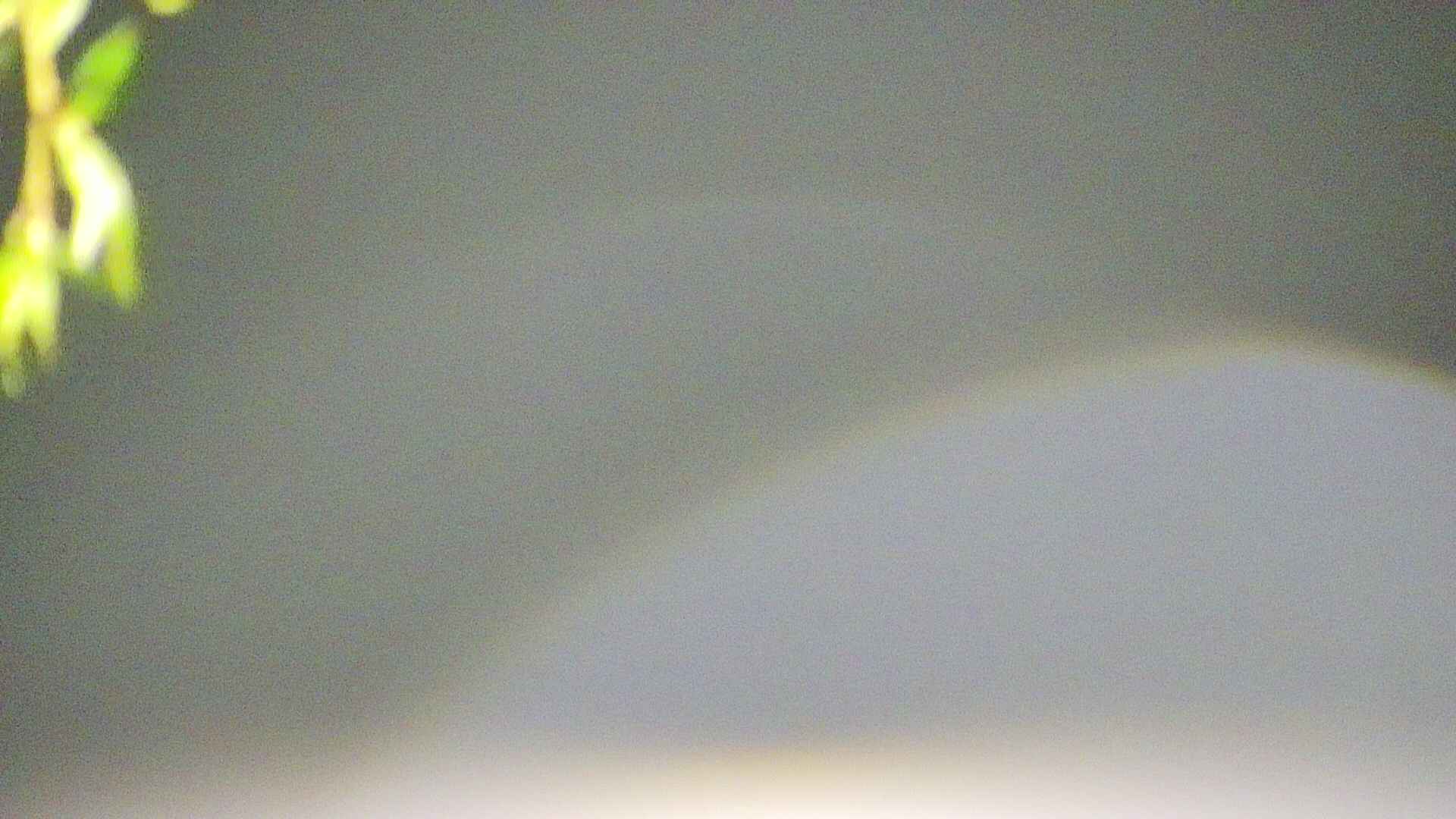 area5-20250430032053.jpg
