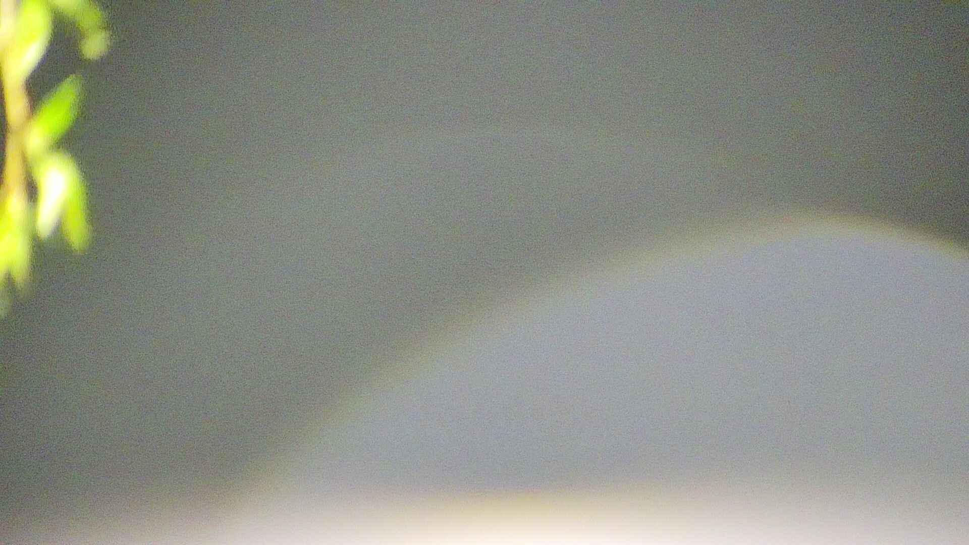 area5-20250430033053.jpg