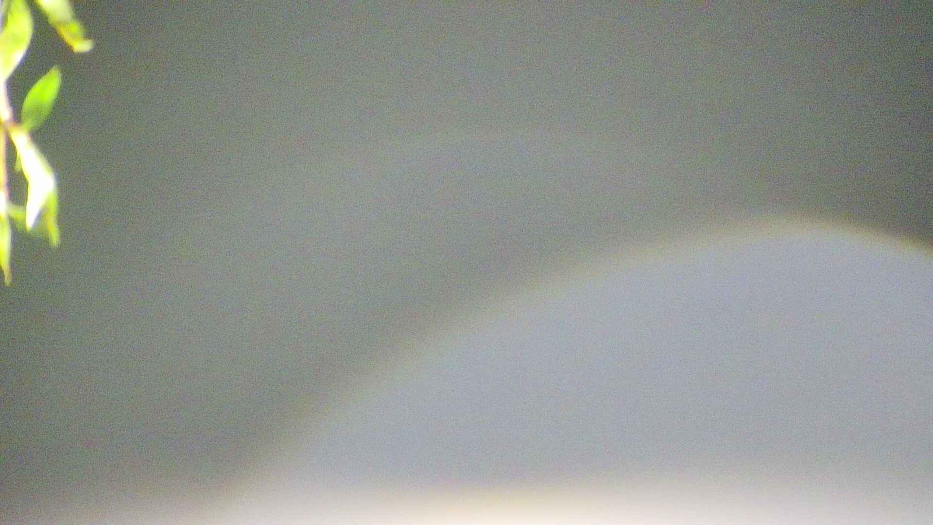 area5-20250430034052.jpg