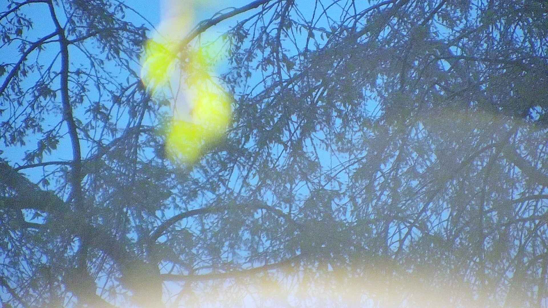 area5-20250430042053.jpg