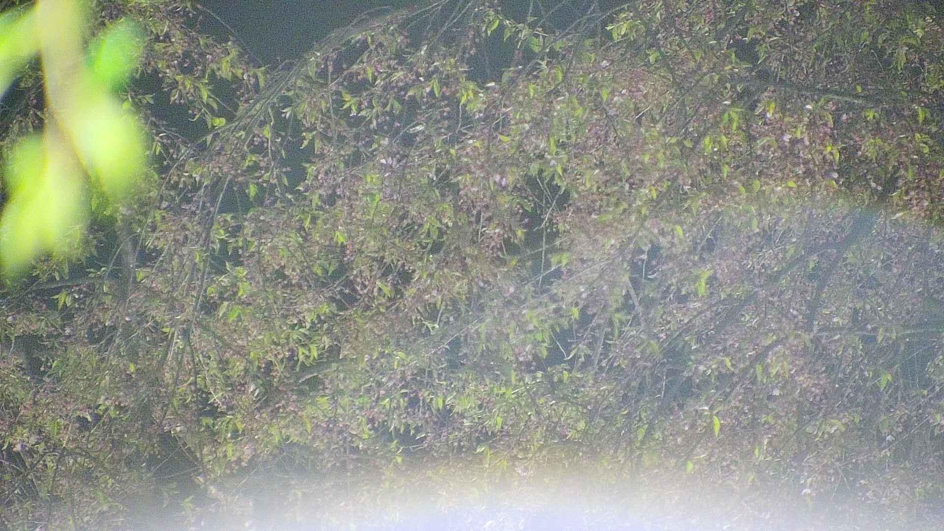 area5-20250430214053.jpg