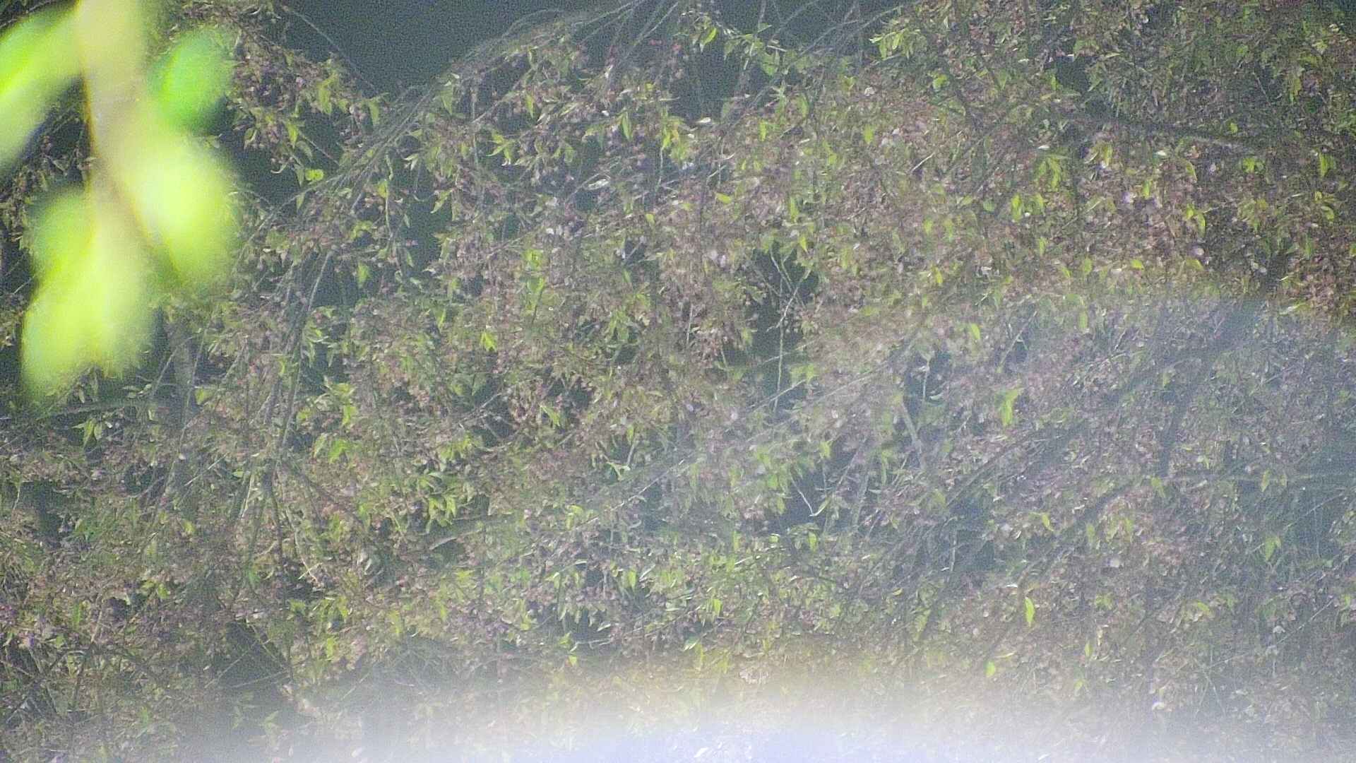 area5-20250430215053.jpg